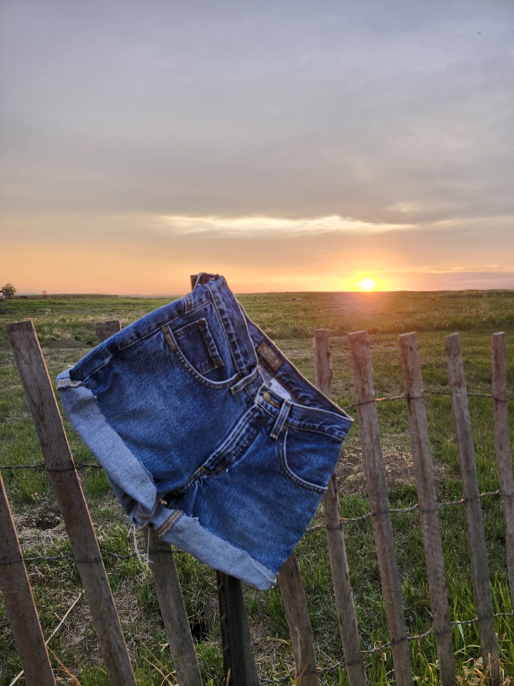 90s Vintage Rockies Denim Cutoff Shorts in Blue